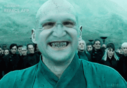 doublicat-2020-11-15-11-23-28.gif