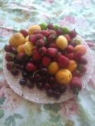IMG_20210612_104703236.jpg