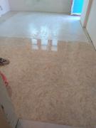 IMG_20210602_161639000.jpg