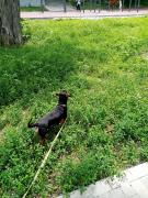 IMG_20210615_135654.jpg