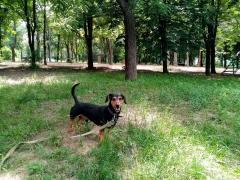 IMG_20210615_140737.jpg