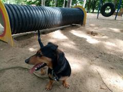 IMG_20210615_140147.jpg