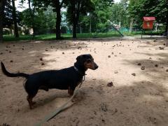 IMG_20210615_140440.jpg