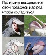 крипота-6236242~2.jpeg