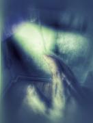 2CB5D1F4-9214-463D-8AA7-2EE0C963C682.jpeg
