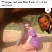 192734738_10226331079929070_5401513315737517427_n.jpg