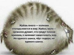 Снимок.JPG