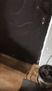 1656134859190063315.gif