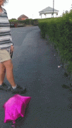 165616075313881541.gif