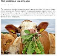 брюква.jpg