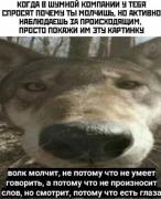 DQwJuaUcNzP8kYRH0GMVs48O85th82OsgFTdVk-dzikVO5I-k4rksBxc5FKNULOA5LXGc11oqbBRx5xs9jXyOcV_~2.jpg