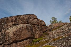 _MG_0189.jpg