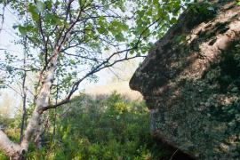 _MG_0030.jpg