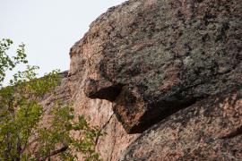 _MG_0073.jpg
