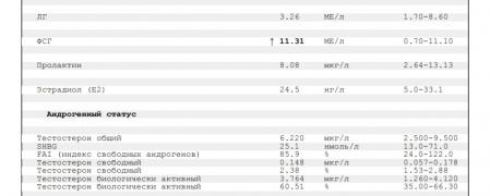 Screenshot_20220620-155217_Drive.jpg