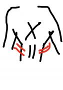025F3A52-C5BD-446F-9413-BC222BE9BDAB.jpeg
