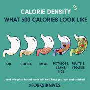 FOK_CalorieDensity_Final.jpg