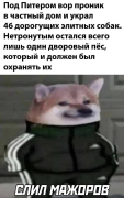 1682746883138359882.png