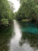 IMG_5587.JPG