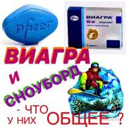 105281362_2014023522063293_7380330010059298710_n.jpg