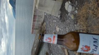 IMG-20230614-WA0135.jpeg