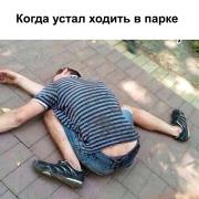 гнездо-Птенец-Бухой-удобно-пиздец-8480525.jpg