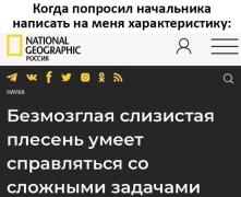 работа-характеристика-плесень-8479123.jpeg