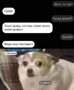 447772082_7204719799634357_3408788692369918713_n.jpg