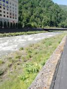IMG_20240605_154158_051.jpg