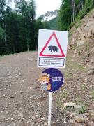 IMG_20240609_063400_117.jpg