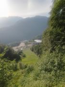 IMG_20240610_061737_877.jpg