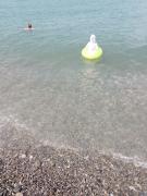 IMG_20240608_095953_617.jpg