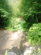 IMG_20240610_062405_385.jpg
