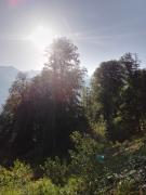 IMG_20240608_062735_520.jpg
