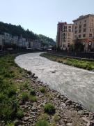 IMG_20240605_154350_395.jpg