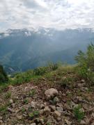 IMG_20240607_093753_494.jpg