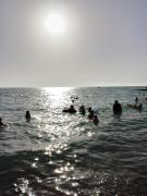 IMG_20240613_174859_732.jpg