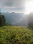 IMG_20240610_062125_533.jpg