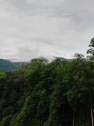 IMG_20240609_164434_968.jpg