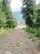 IMG_20240607_092859_737.jpg