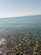IMG_20240605_080954_761.jpg