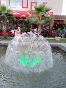 IMG_20240611_193706_059.jpg