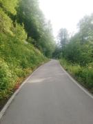IMG_20240610_062426_721.jpg