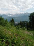 IMG_20240607_090126_250.jpg