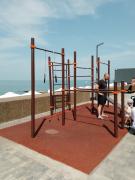IMG_20240608_095336_536.jpg