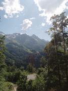 IMG_20240605_151503_273.jpg