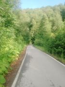 IMG_20240610_062325_086.jpg