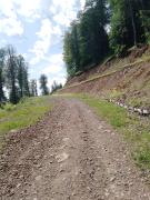 IMG_20240607_090511_810.jpg