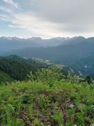 IMG_20240609_064934_479.jpg
