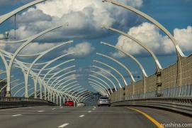 IMG_3110.jpeg